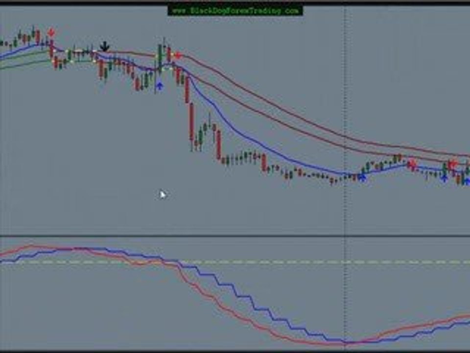 Black Dog Forex Trades For July 15th