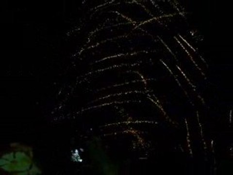 feux d'artifice de la tour eiffel 2009 partie 2