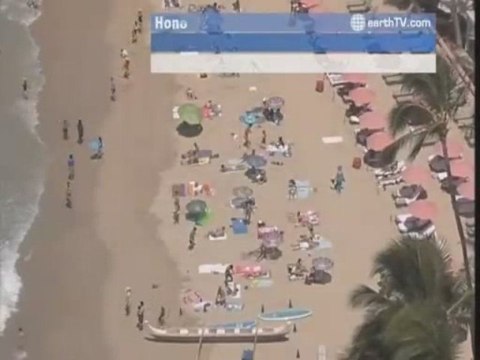 Avignon - France, Berlin - Germany, Amsterdam - Netherlands, Auckland - New Zealand, Munich - Germany, Honolulu - USA, Brussels - Belgium