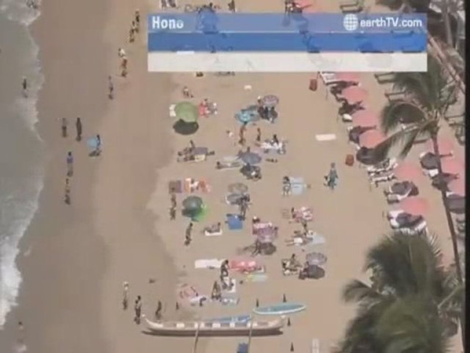 Avignon - France, Berlin - Germany, Amsterdam - Netherlands, Auckland - New Zealand, Munich - Germany, Honolulu - USA, Brussels - Belgium