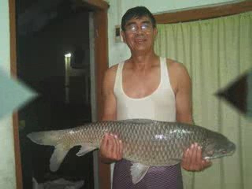 Pauk caught a white carp in July 2009