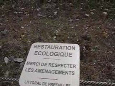 Littoral de Préfailles