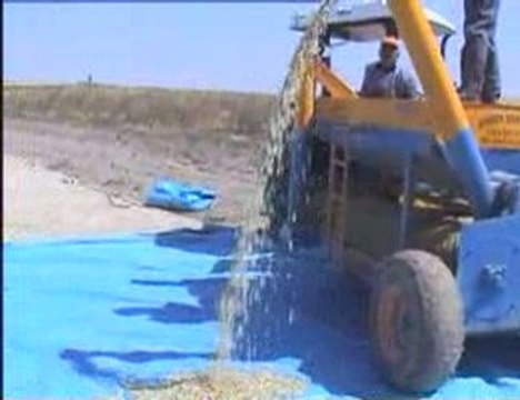 Kabak Toplama Makinası