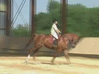 11.07.09 - Galop 7 Claire