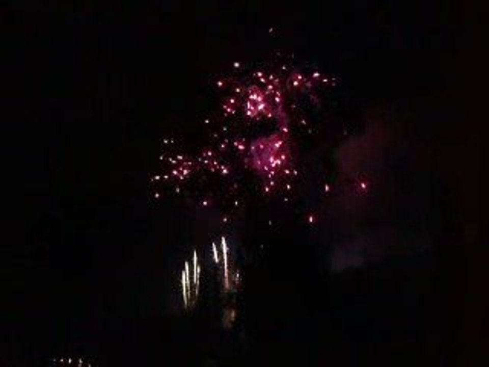 feux d'artifice mulhouse 2009 #1