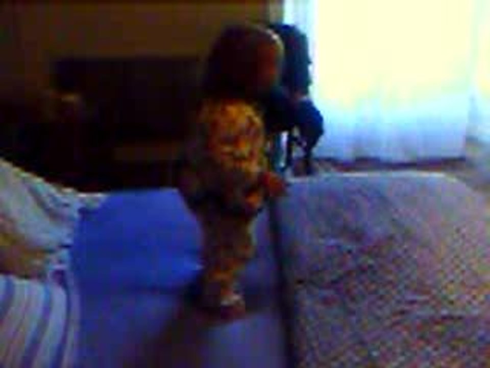 VIDEO_00025