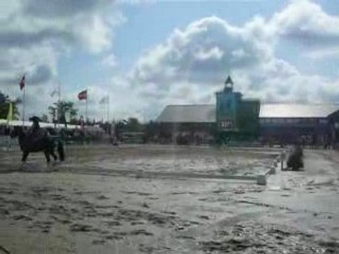 Coupe Club Niort _ Lamotte Beuvron 2009