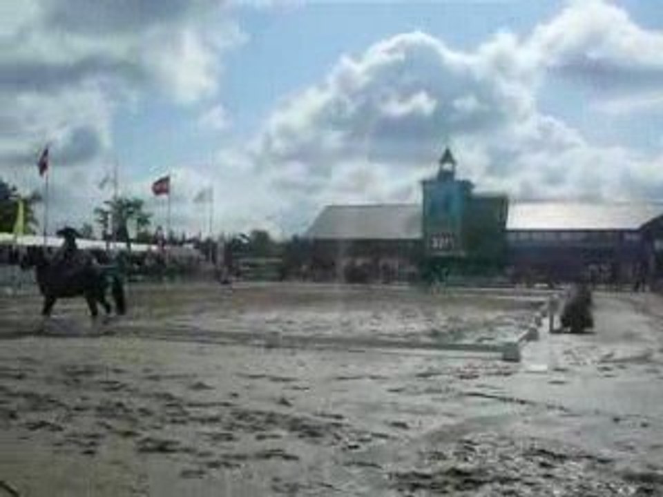 Coupe Club Niort _ Lamotte Beuvron 2009