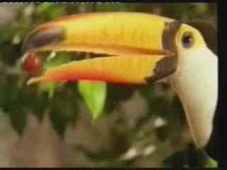 creation ou evolution, 2eme partie