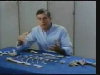 creation ou evolution, 3eme partie