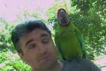 American Detour: Honduras - Pirate Chic