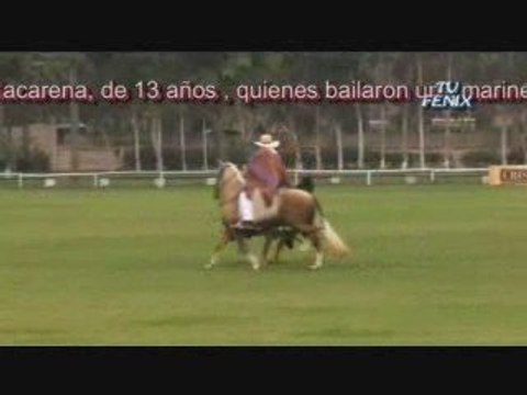 Marinera y el caballo de paso