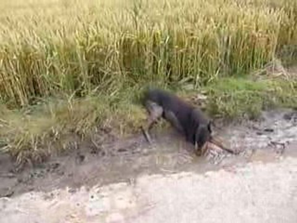 concours de cracras