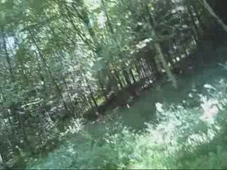 le monstre du loch pas ness