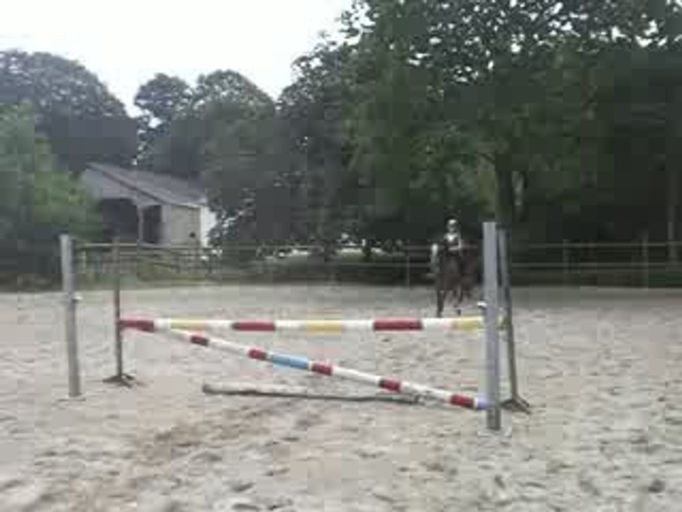 Pegase & Moi A l'obstacle