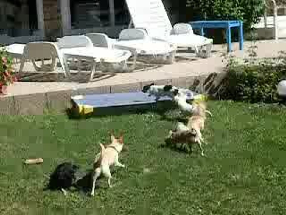Belle journée
