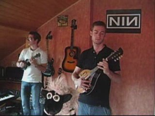Owls - Cocoon cover (video clip)