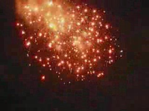 feux d'artifice d'Orléans 2009