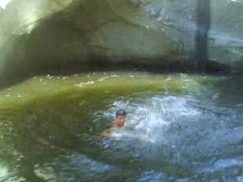 Saut de 15 m