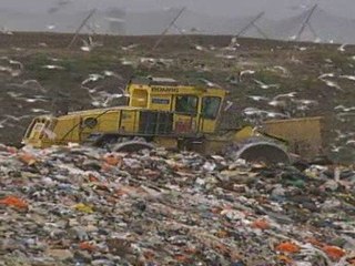 Plastic bag targets missed