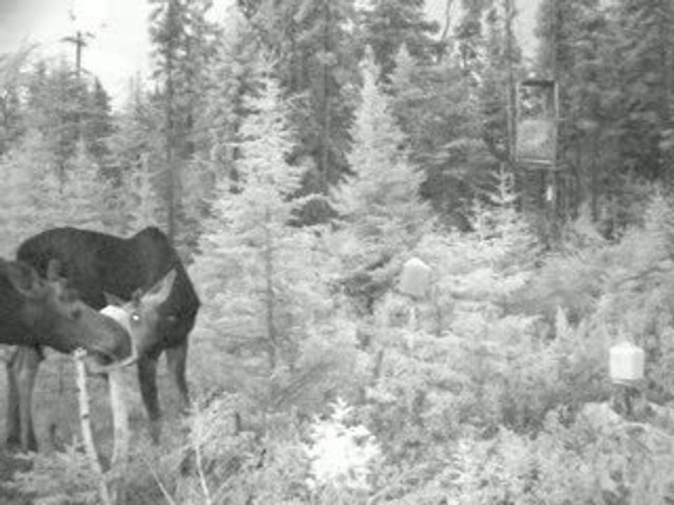 premier bucks !