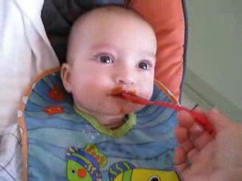 auguste 1er petit pot