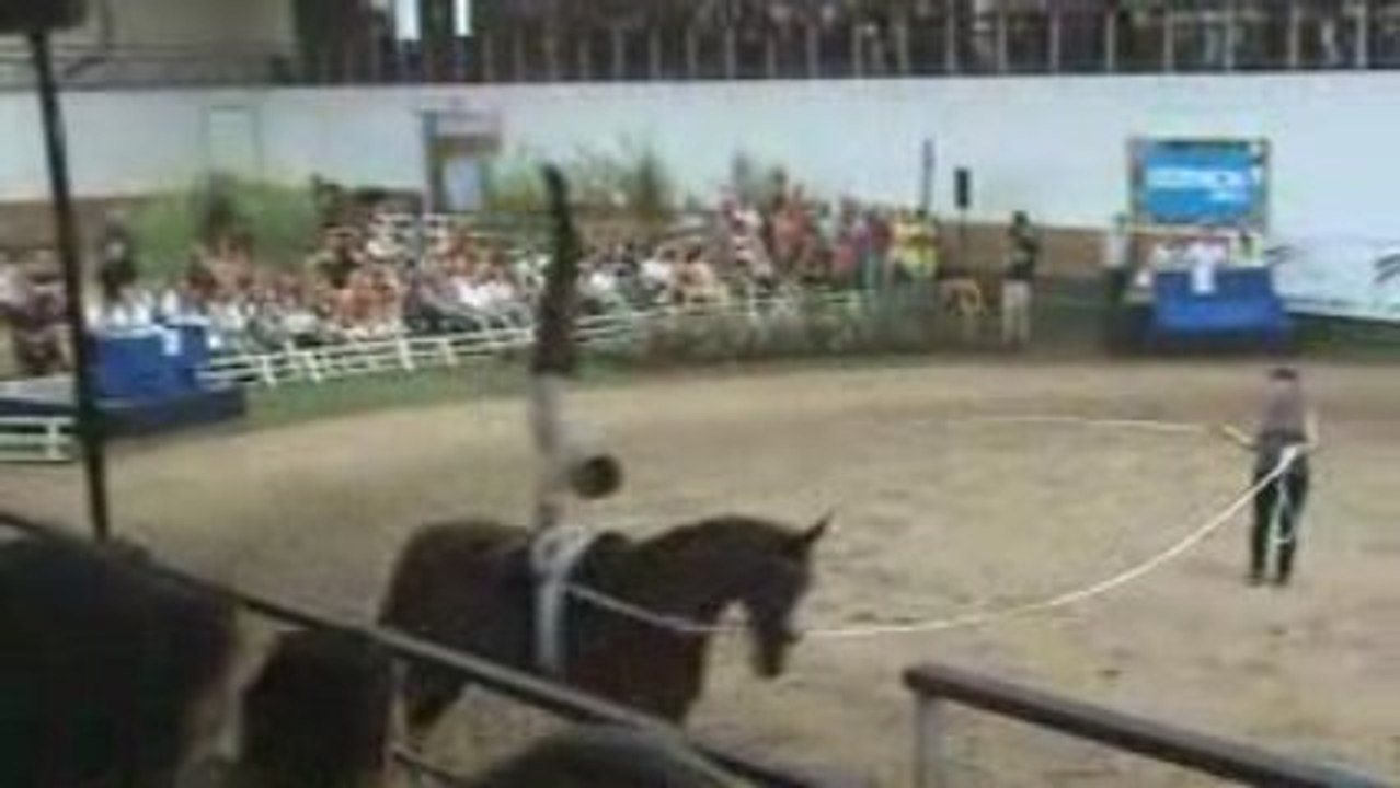 nicolas andréani championat de france 2009