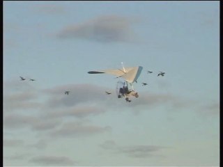 Christian Moullec, voler avec les oiseaux