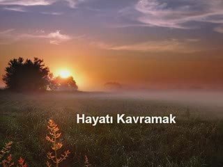 Hayatı Anlamak: Yol Yordam 🌟