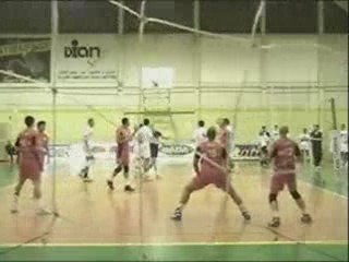 Marcos Cavalari Brazilian Setter