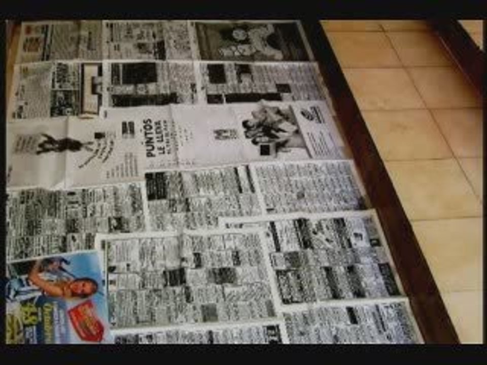 Cachorros Entrenamiento