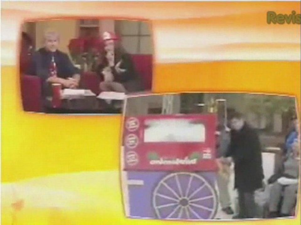 Best of Digg Reel: Beary Funny! - Best Of...