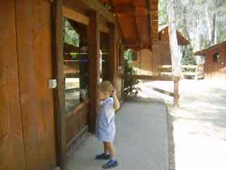 savez vous planter les choux?