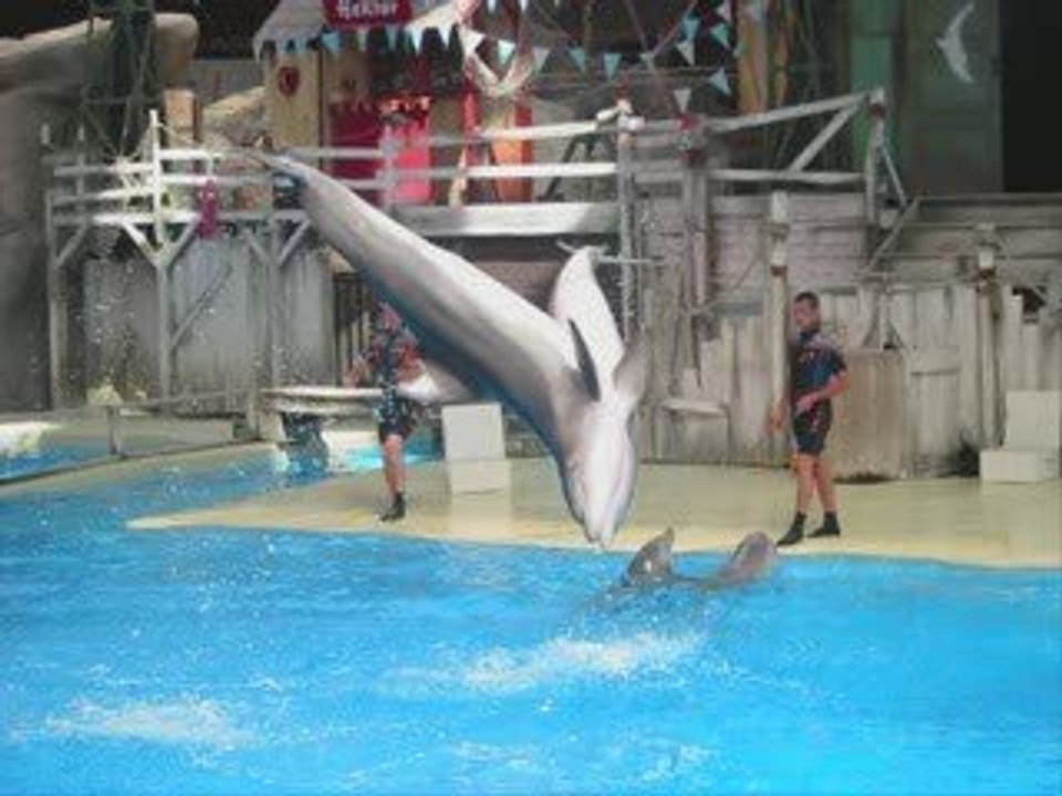 lisedenisdann dauphin_0001