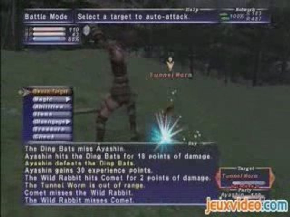 Final Fantasy 11