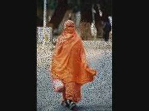 La beautée de la femme voilée