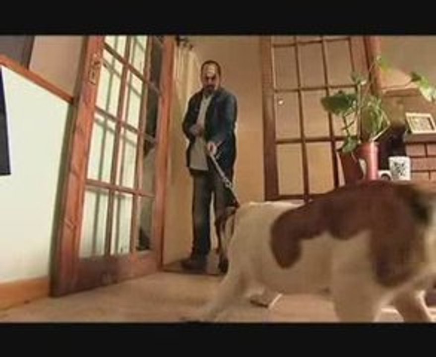 C'est le chien ou moi !