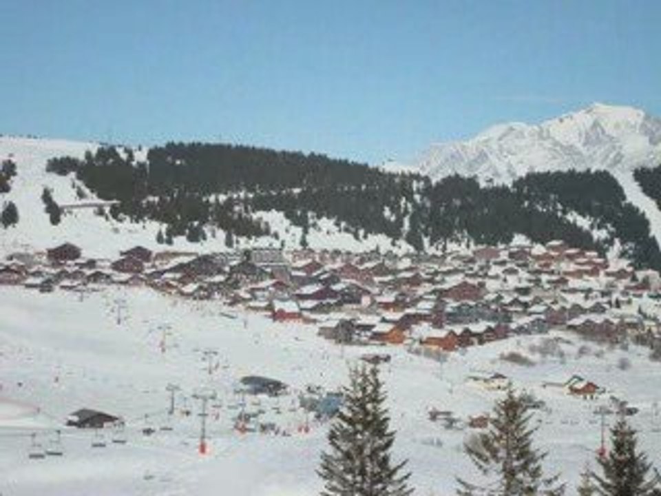 les saisies mars 2009