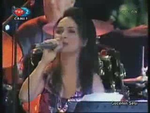 Bir garip yolcuyum (Yıldırım Gürses) Y.Arzen-D.Gürenç düet