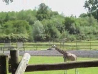 Maubeuge : les CP de Notre-Dame-de-Grâce au parc Paradisio
