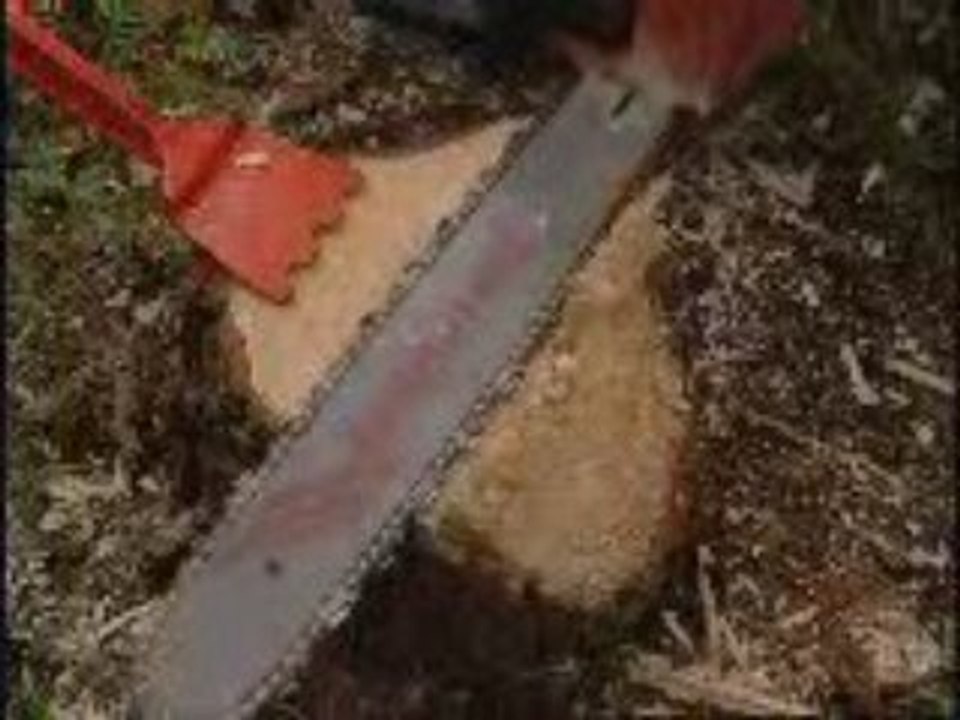 Working_with_chainsaws_176x132
