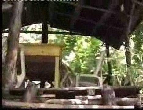 Yeşil Vadi Alabalık Tesisi