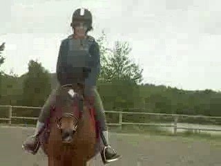lyly 259