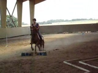 Parcours "Trec" avec Etoile