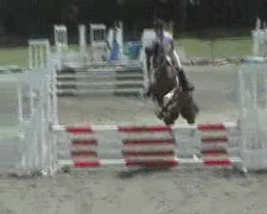 Saint gaudens Waneelya