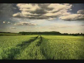 Der Schlüssel zu unserem Bewusstsein