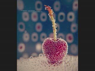 Guillaume Rewind - Oho