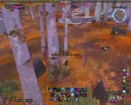 atrocitte-80 rogue pvp wow