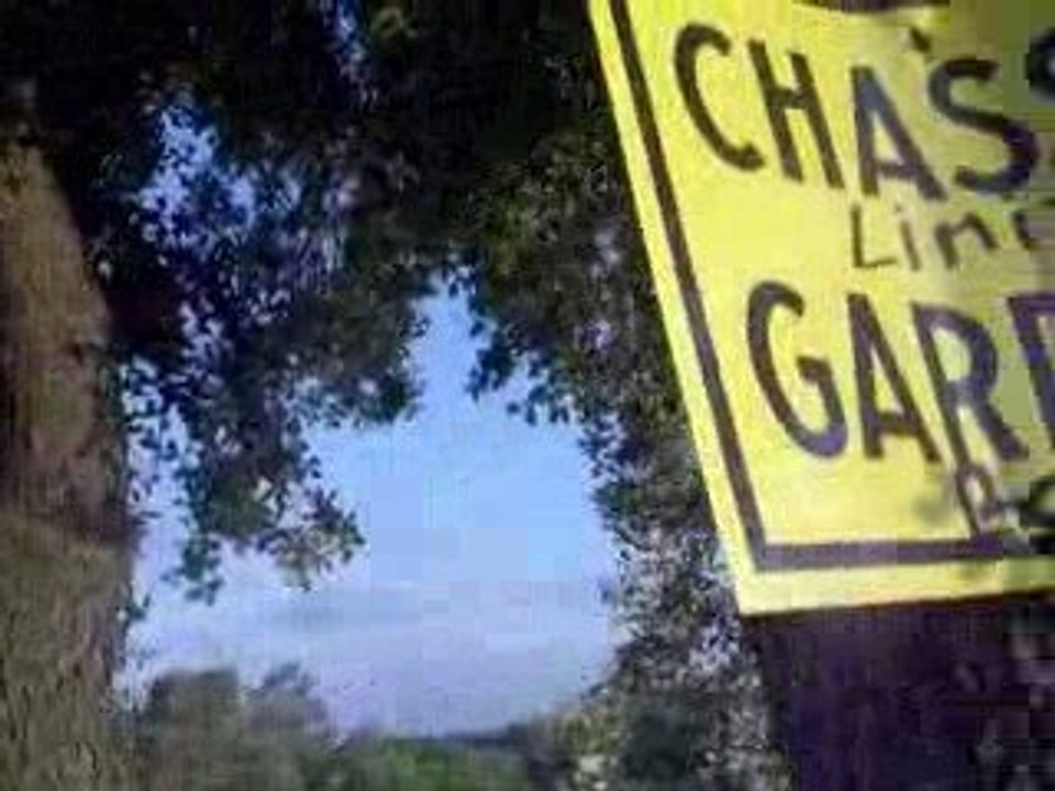 cigales Teyran 16 juillet 2009