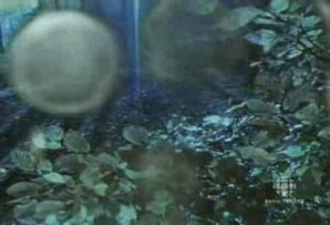 Einstein - La_symphonie_inachevee_2